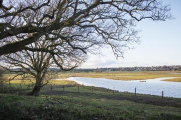 RSPB Pulborough Brooks Nature Reserve. Image by Eleanor Bentall (rspb-images.com) 