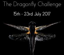 British Dragonfly Week